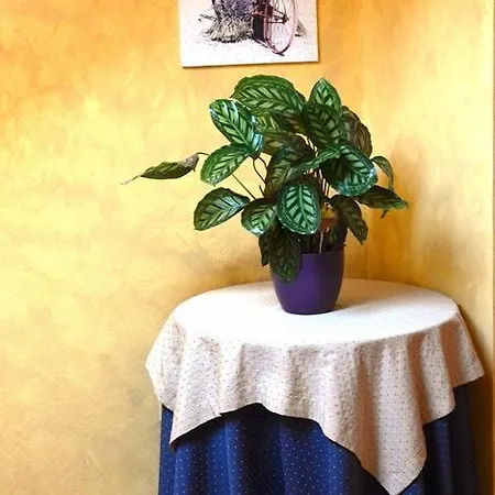 Casa de hóspedes Hospedería El Cantio